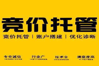 解析某某SEM服务公司如何通过数据分析优化广告效果